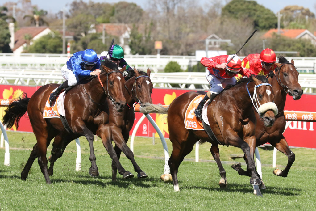 Lightsaber,Caulfield Guineas Prelude,Group 3_18-09-2021_WIN_Caulfield_4__387 | Just Horse Racing
