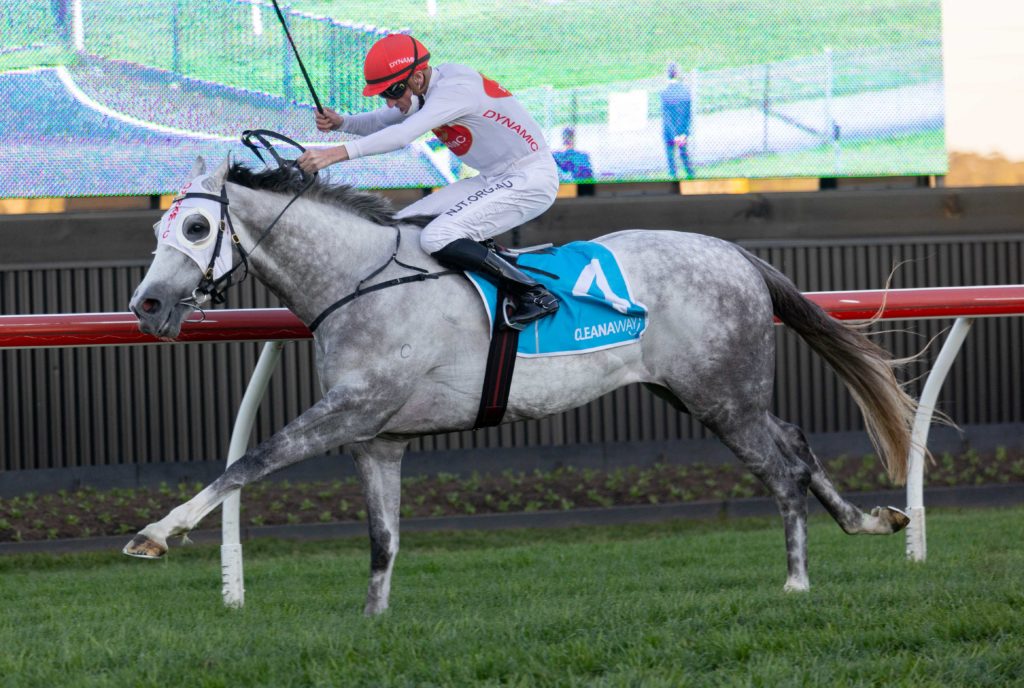 LoveTap-20210911-2377 | Just Horse Racing