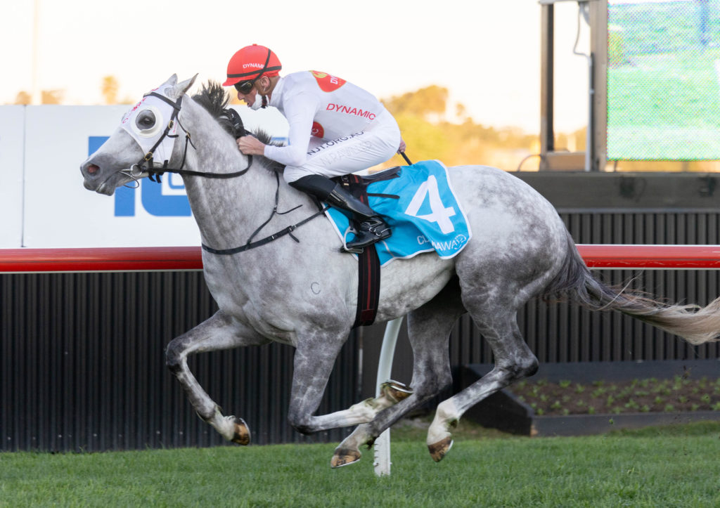 LoveTap-20210911-2380 | Just Horse Racing