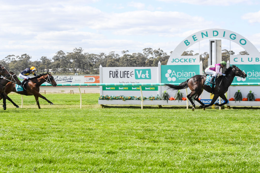 /r1/ | Just Horse Racing