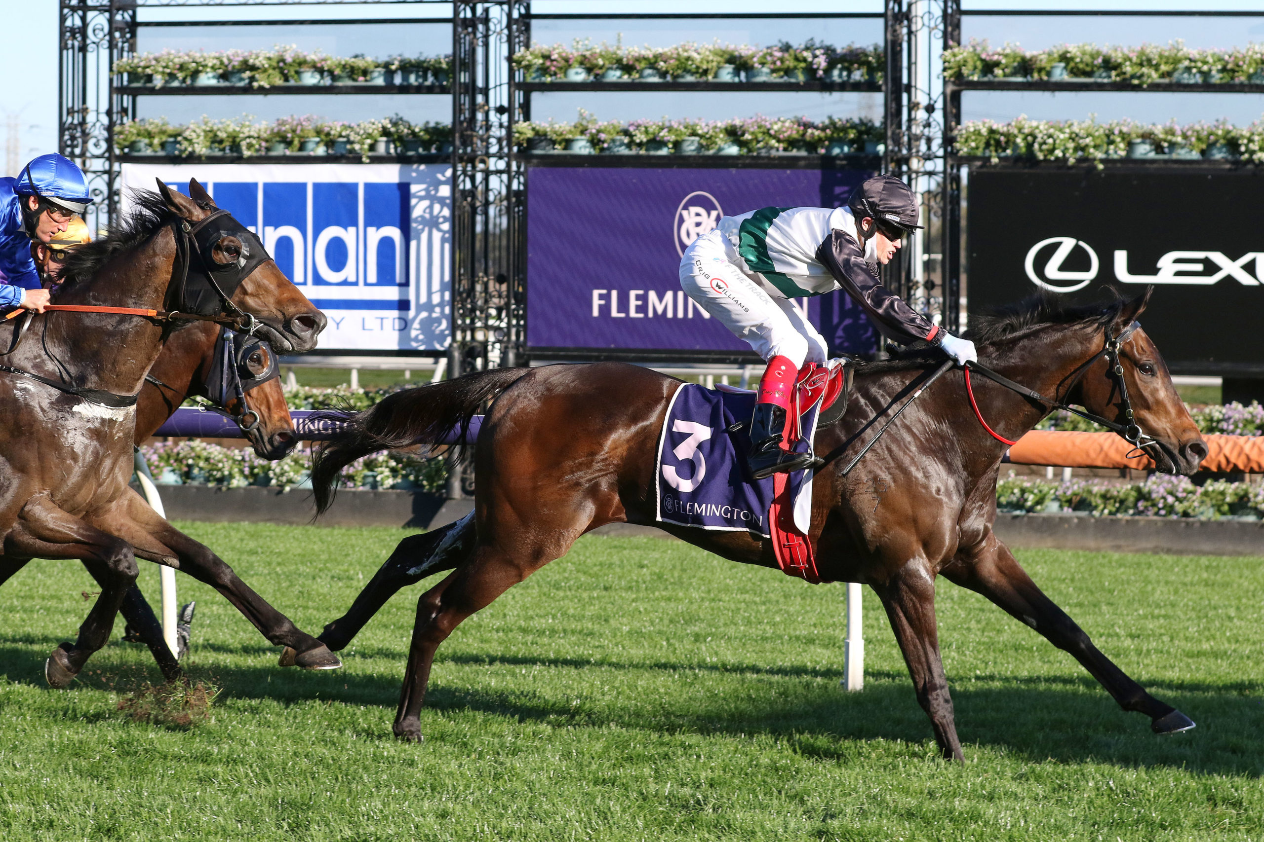 Champions Mile 2022 – Horse Preview, Odds, Speed Map and Betting Strategy - Vimarsana News