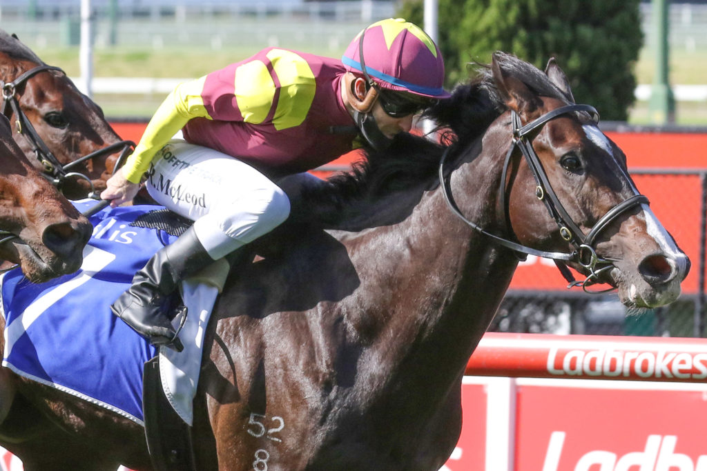 Mynumerouno_04-09-2021_WIN_Moonee Valley_3__642 | Just Horse Racing