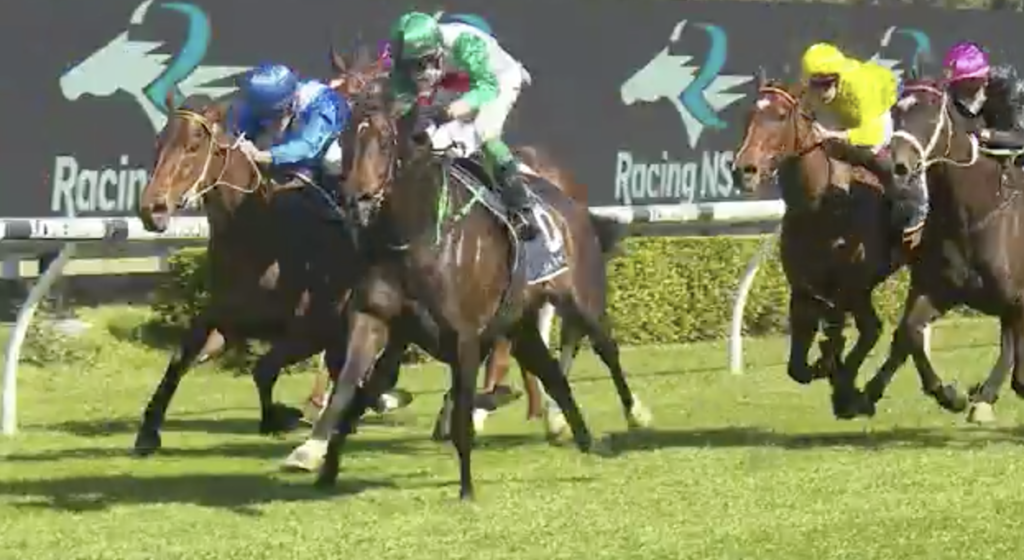 Profondo | Just Horse Racing