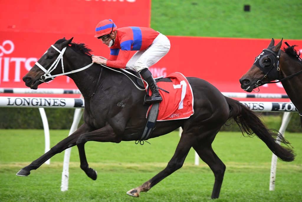 Verry Elleegant1809214177 | Just Horse Racing