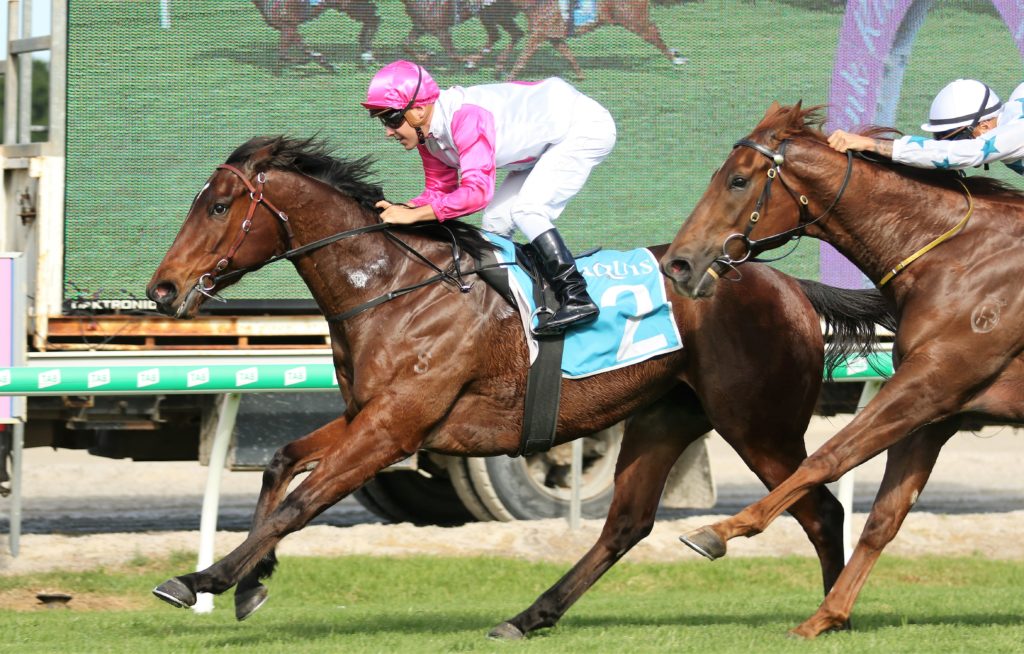 Weona Smartone (4) | Just Horse Racing