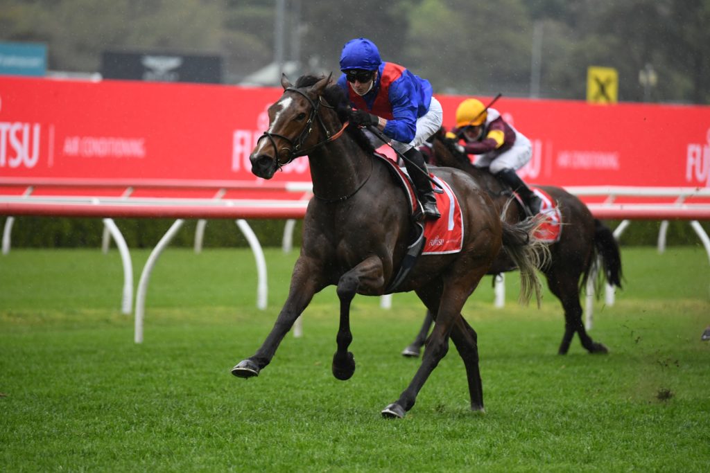 Zaaki 0409212018 | Just Horse Racing