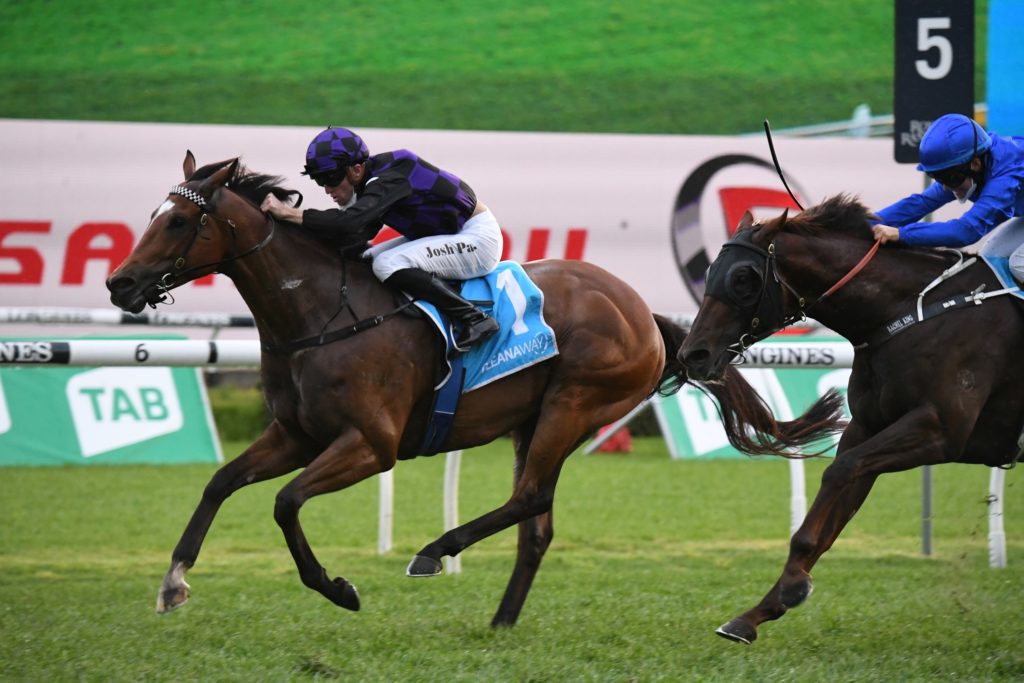 Big Parade 0210219275 | Just Horse Racing