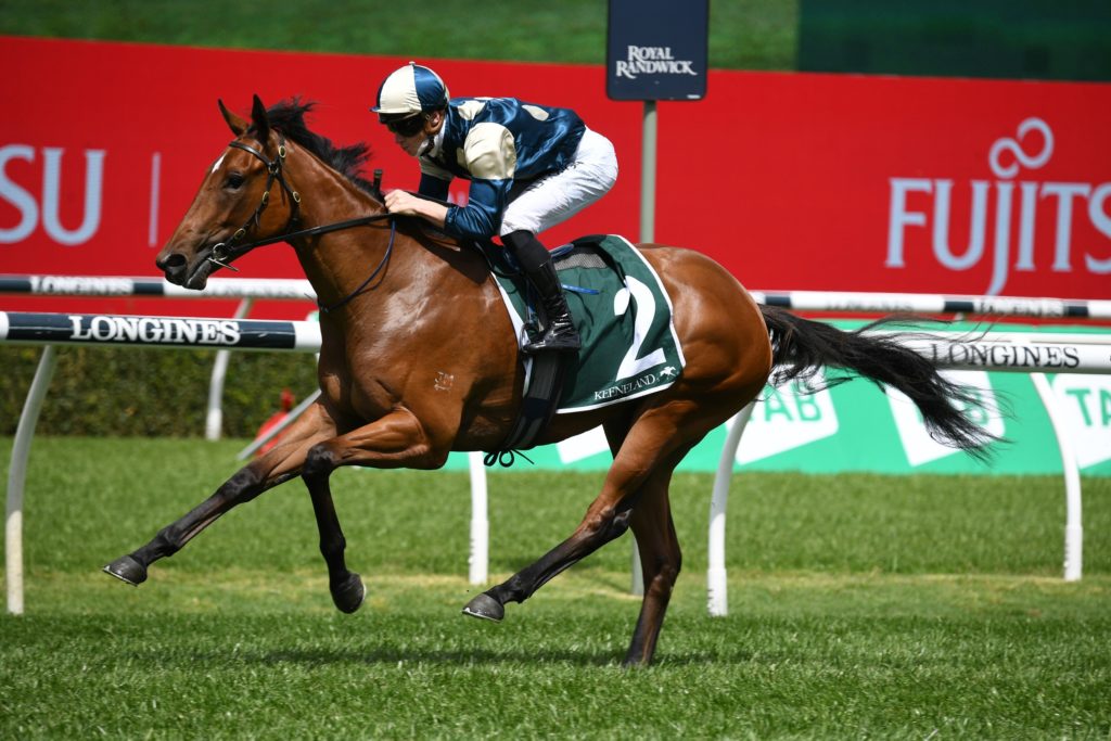 Coolangatta 0210217824 | Just Horse Racing