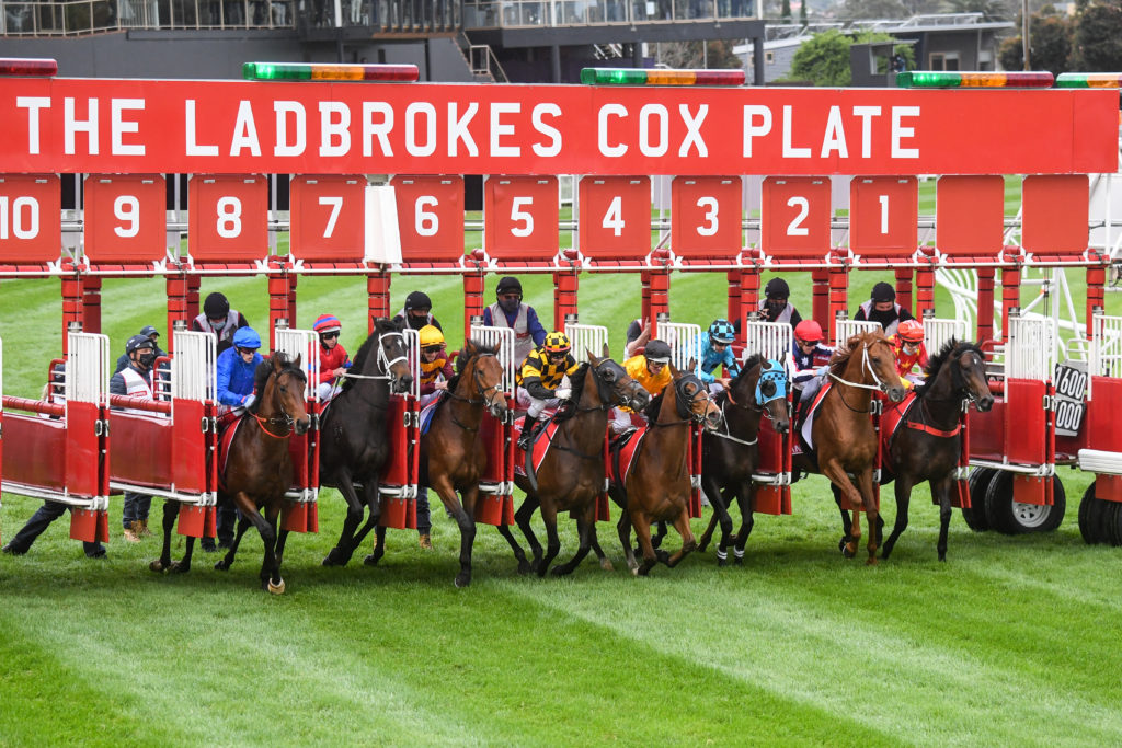 Entries taken for Cox Plate and Caulfield Cup - Just Horse Racing