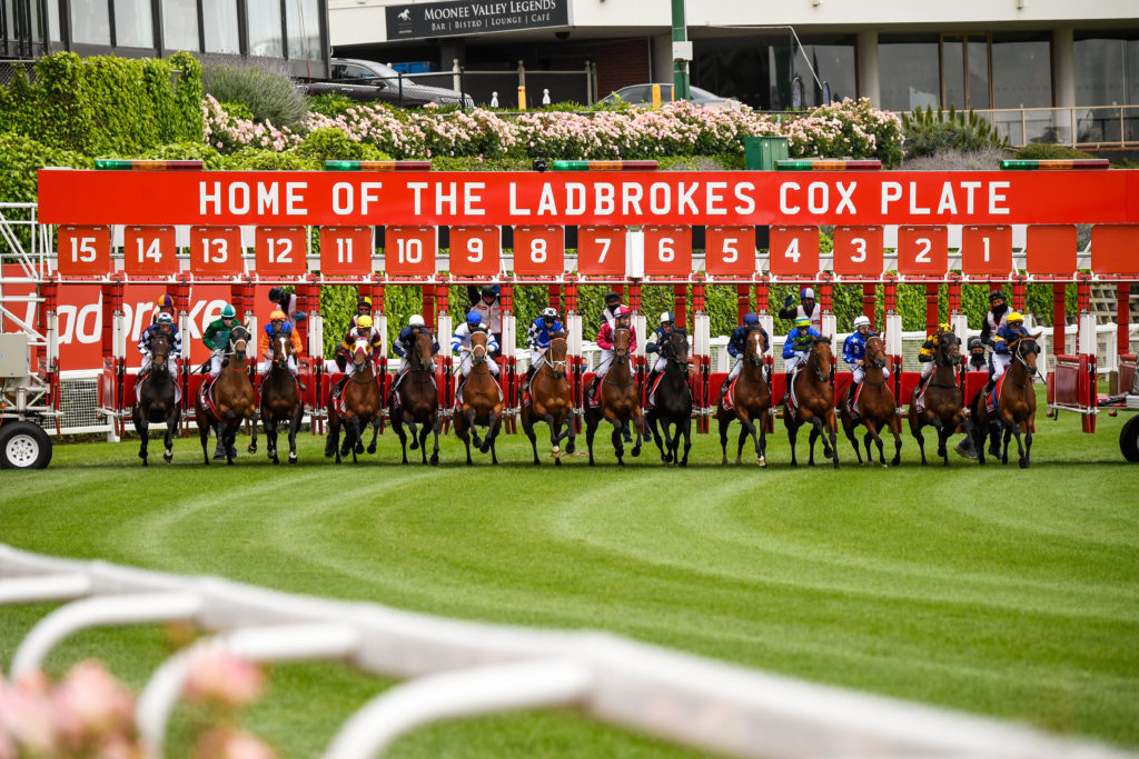 Cox Plate 2024: Watch Live Stream, Race Time, Horses, Field, Odds, Prize Money
