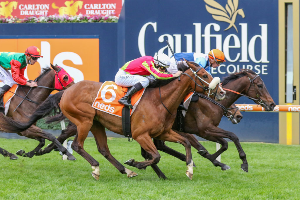 Duais,Coongy Cup,Group 3_13-10-2021_WIN_Caulfield_2__254 | Just Horse Racing