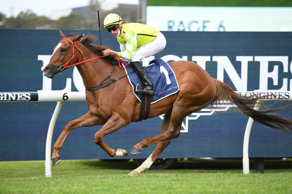 Eduardo 3010214726 | Just Horse Racing
