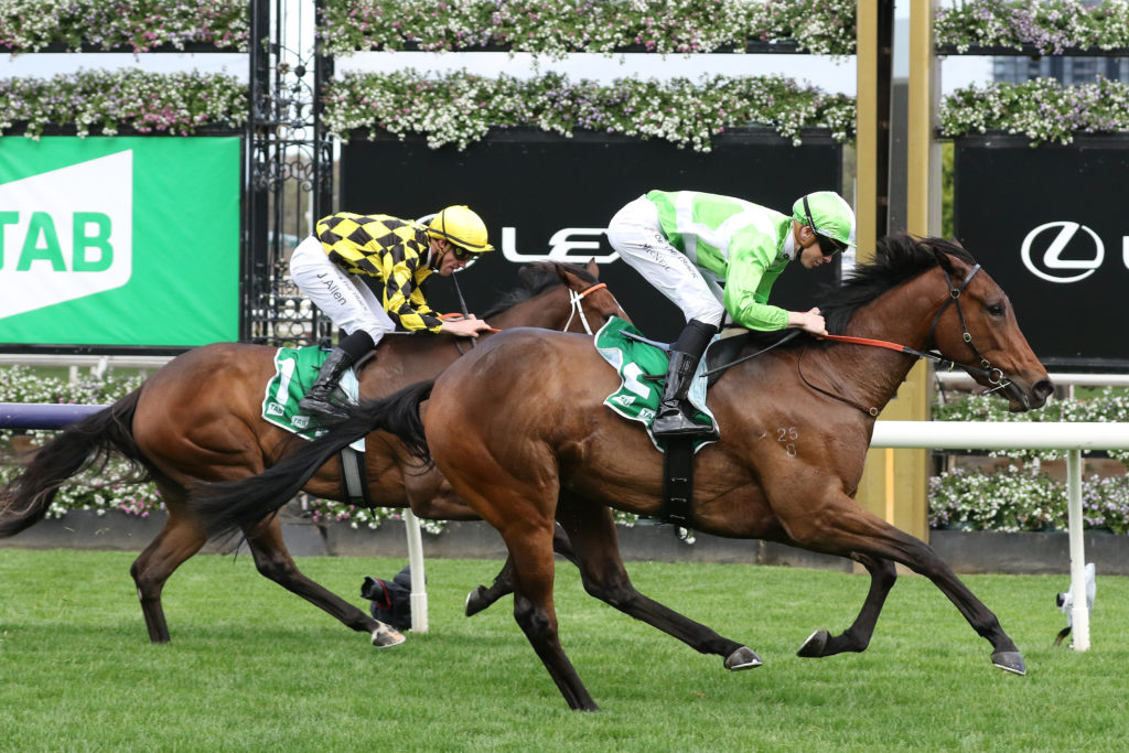 Elusive Express,Edward Manifold Stakes,Group 2_02-10-2021_WIN_Flemington_3__494 | Just Horse Racing