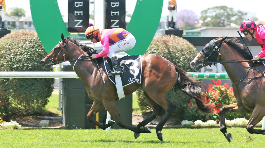 Exo Lady (4) | Just Horse Racing