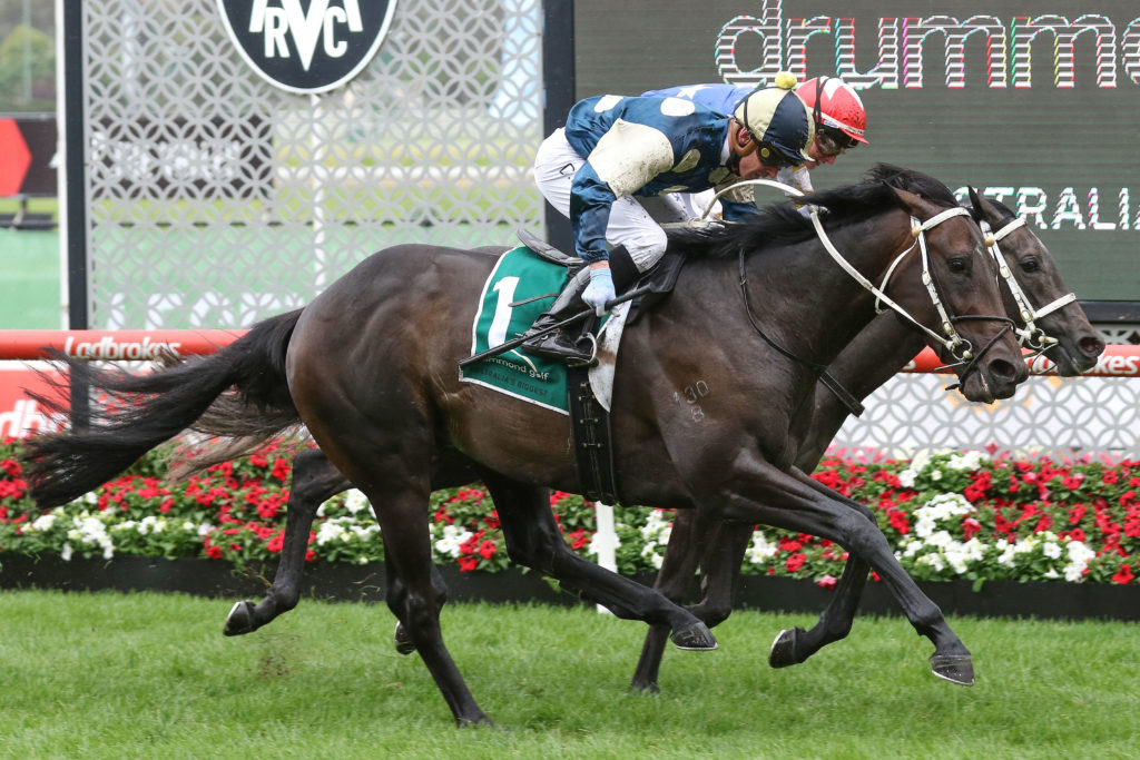 Forgot You,Drummond Golf Vase,Group 2_23-10-2021_WIN_Moonee Valley_7__1617 | Just Horse Racing