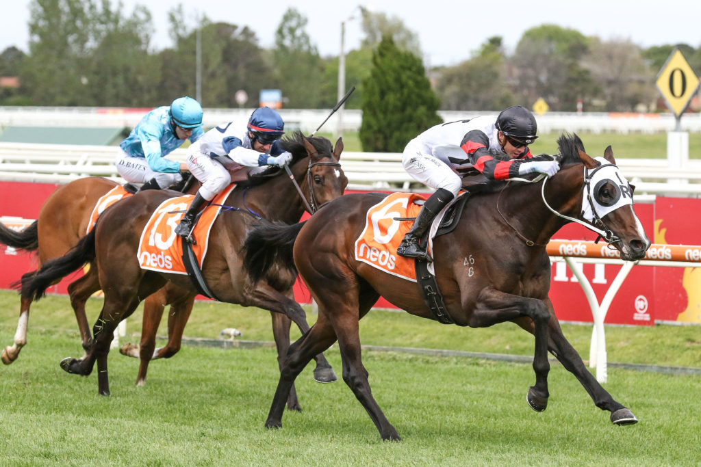 Gunstock,Norman Robinsob Stakes,Group 3_16-10-2021_WIN_Caulfield_5__766 | Just Horse Racing