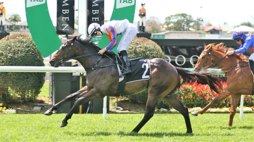 Heroic SON (2) | Just Horse Racing