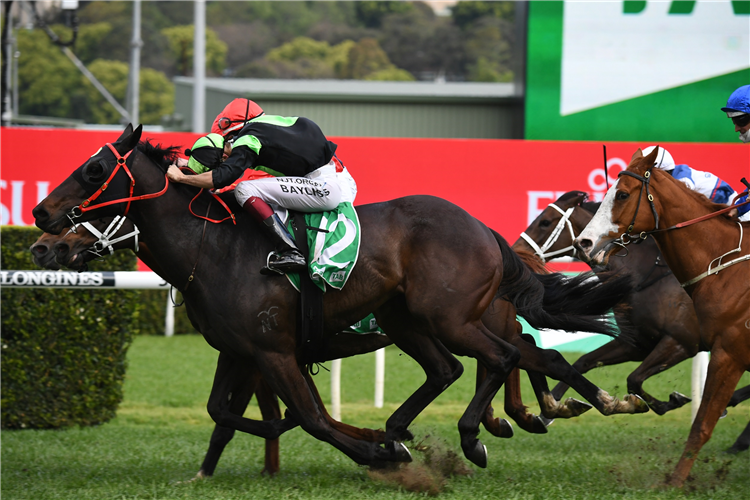 Pride Eagle Eyed with Epsom winner | Just Horse Racing