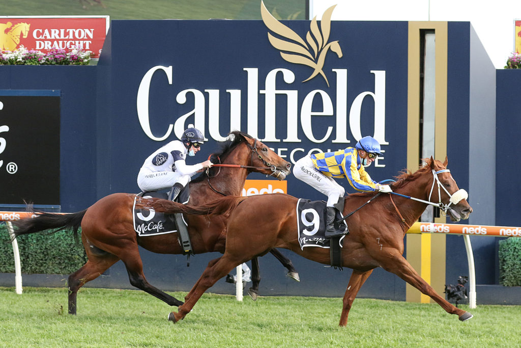 Oxley Road,Caulfield Sprint,Group 2_16-10-2021_WIN_Caulfield_10__2320 | Just Horse Racing