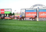 Moonee Valley Races