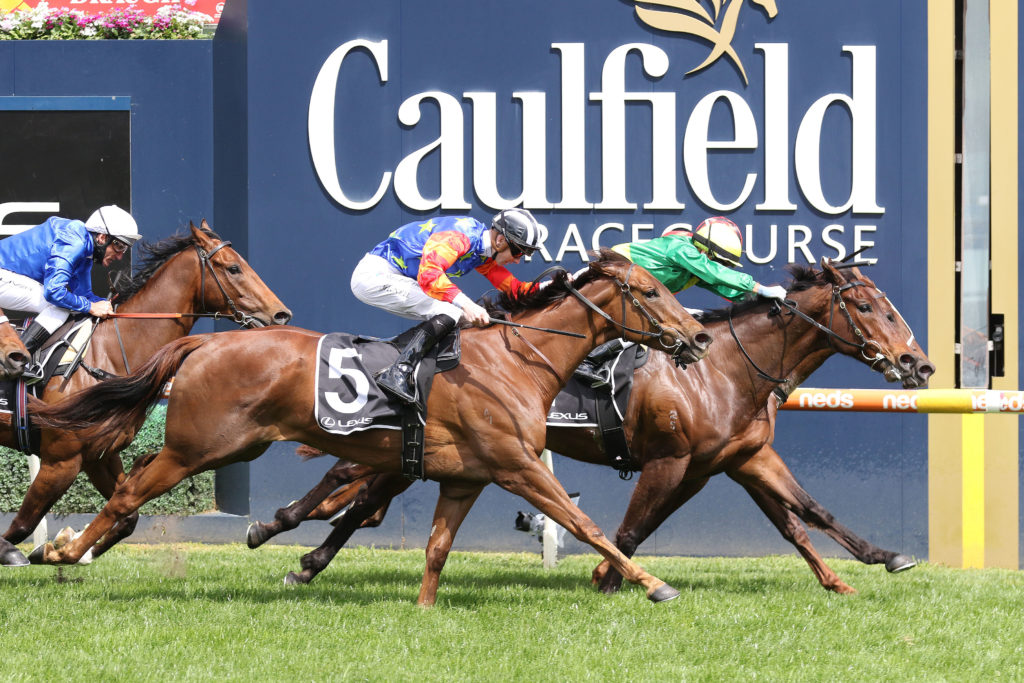 Savatoxl,Schillaci Stakes,Group 2_09-10-2021_WIN_Caulfield_5__775 | Just Horse Racing