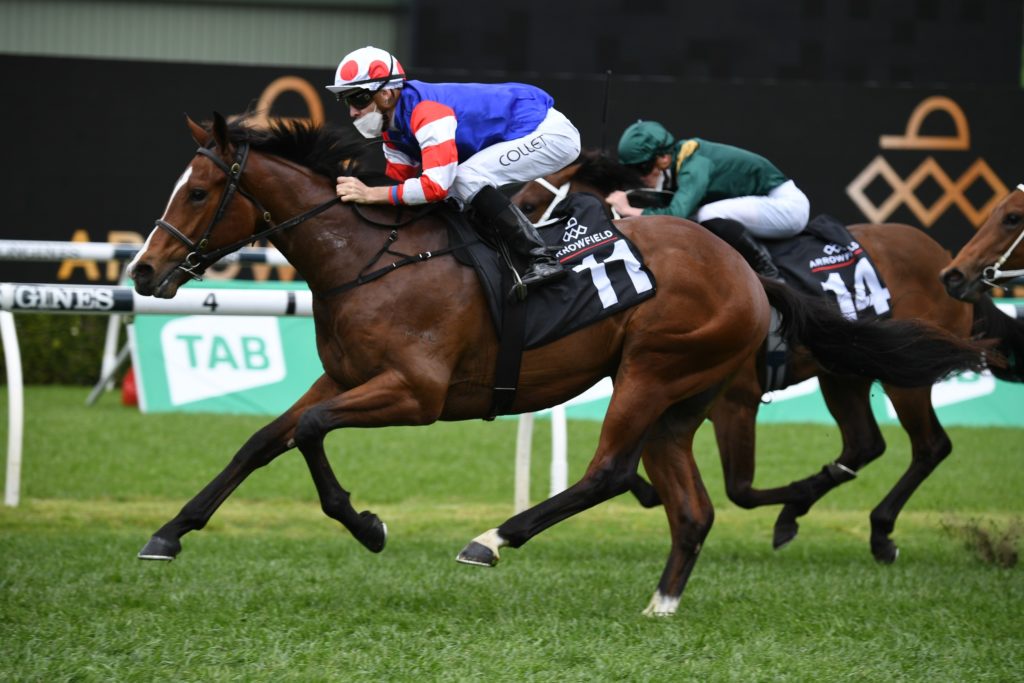 Sejarden 0210218000 | Just Horse Racing