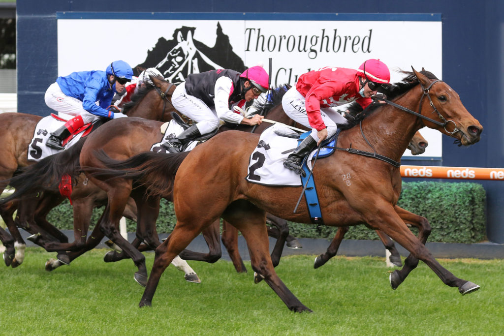 Sneaky Five,Thoroughbred Club Stakes,Group 3_09-10-2021_WIN_Caulfield_4__637 | Just Horse Racing