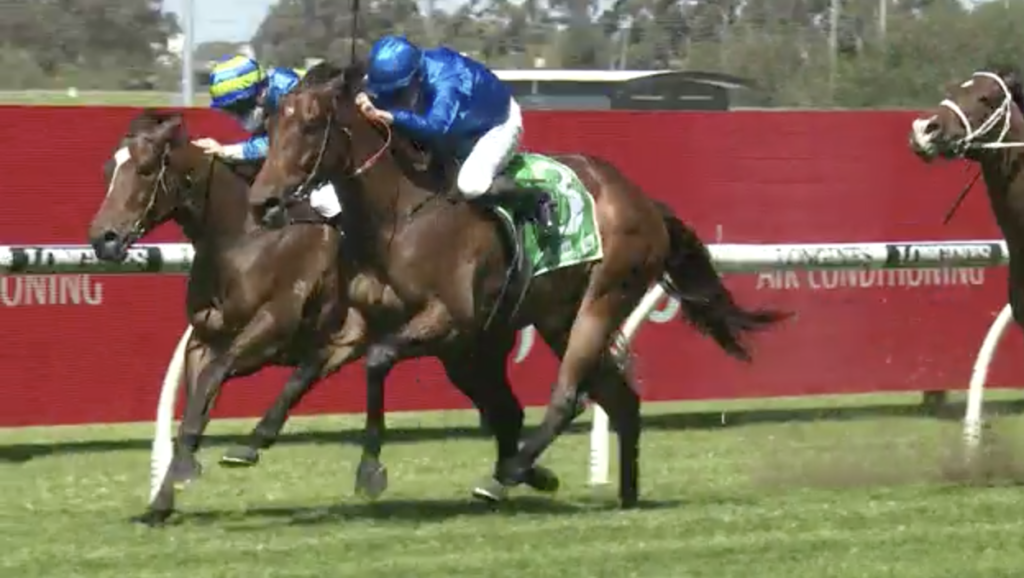Snitzonfire | Just Horse Racing