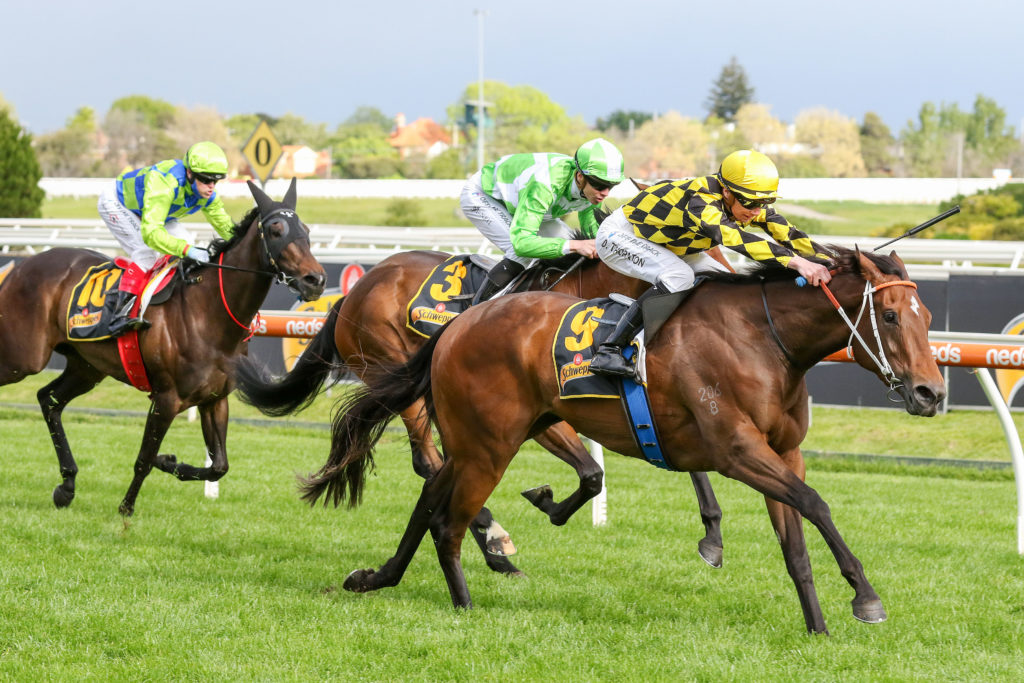 Yearning,Thousand Guineas,Group 1_13-10-2021_WIN_Caulfield_7__1069 | Just Horse Racing