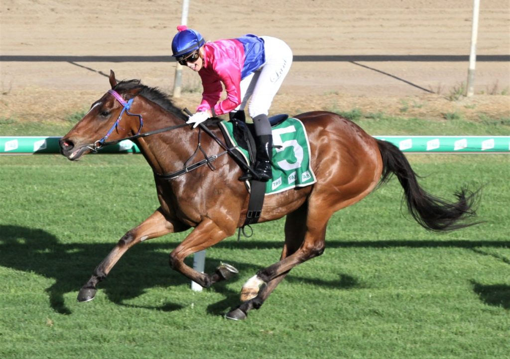 commandeering 1 | Just Horse Racing