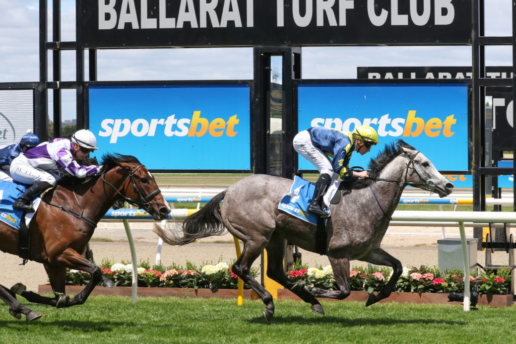 0K9A0067 | Just Horse Racing