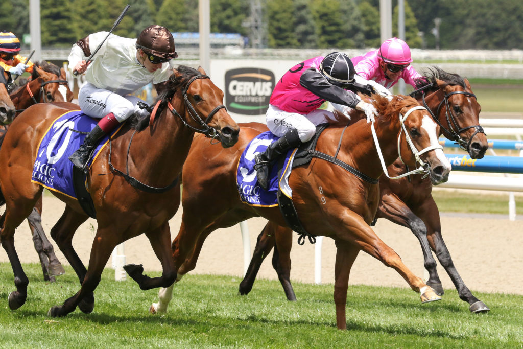 0K9A0581 | Just Horse Racing