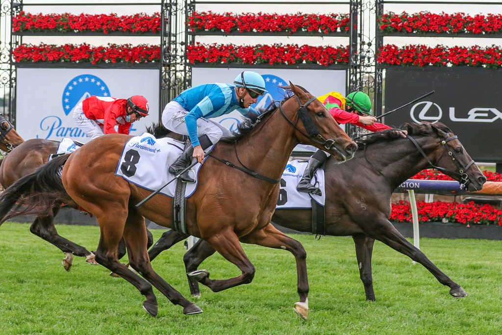 AGE OF CHIVALRY 0K9A1818 | Just Horse Racing