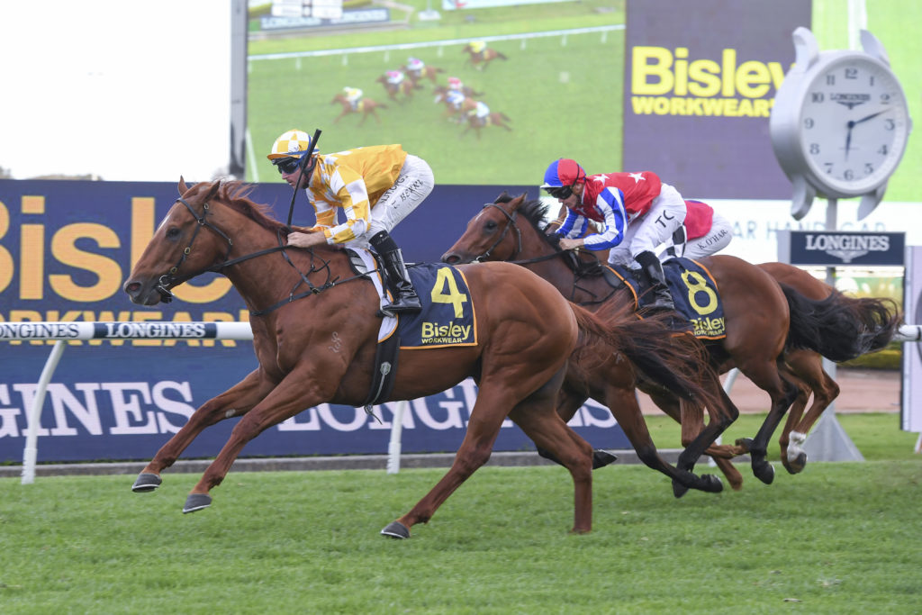 DSC_6606 | Just Horse Racing