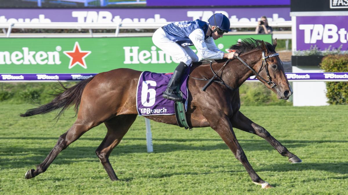 Buz Post Racing Chris Parnham backs Buzzoom to bounce back | Just Horse Racing