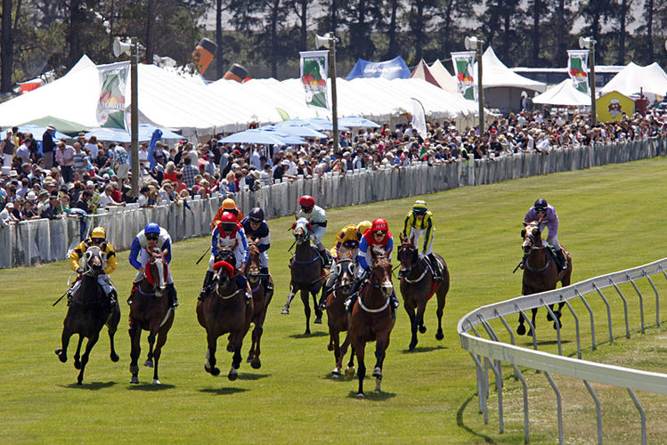 29/11/2024 Horse Racing Tips and Best Bets – Cromwell