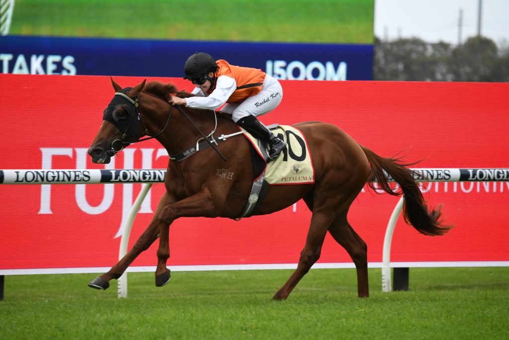 Ellsberg 2711210752 | Just Horse Racing