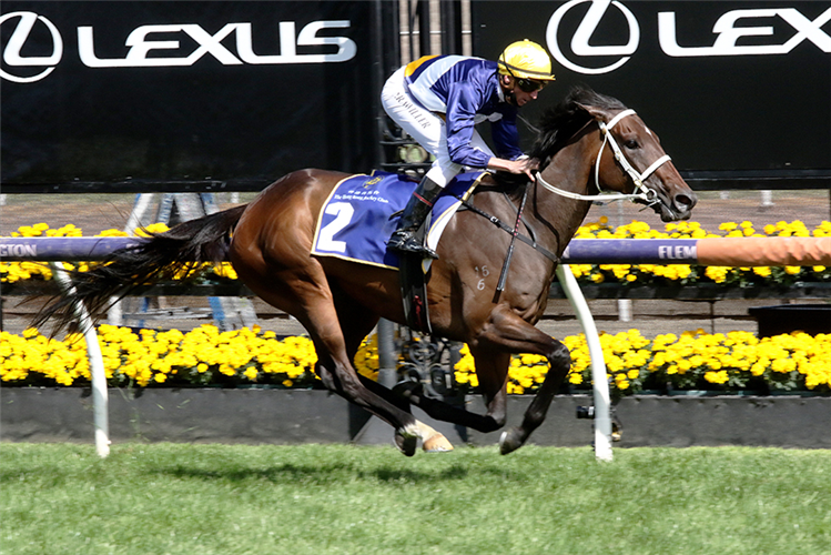 Gong calling for Rich Hips | Just Horse Racing