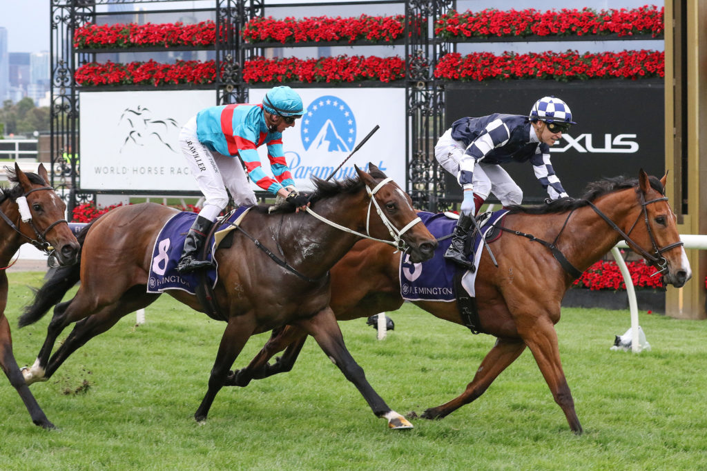 Itโsourtime 0K9A2953 | Just Horse Racing