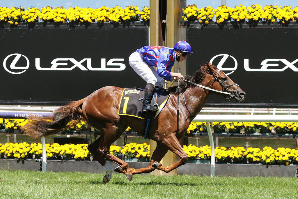 Profiteer_02-11-2021_WIN_Flemington_6__1338 | Just Horse Racing