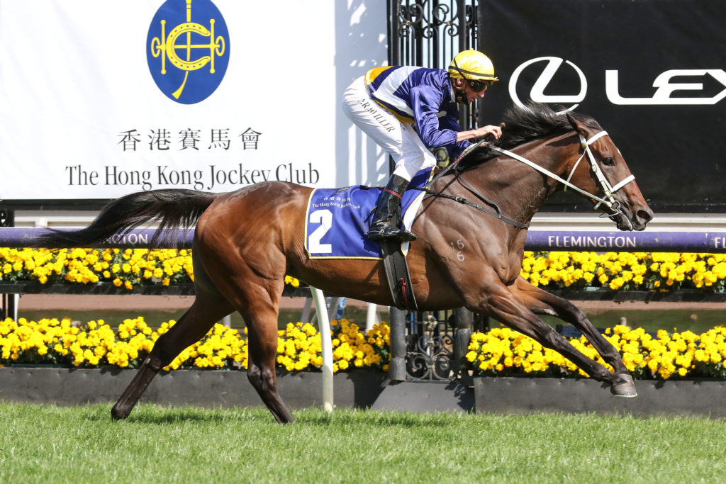 Rich Hips,HK Jockey Club Stakes,Group 3_02-11-2021_WIN_Flemington_8__2818 | Just Horse Racing