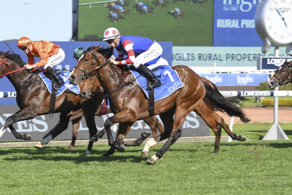 DSC_6248 | Just Horse Racing