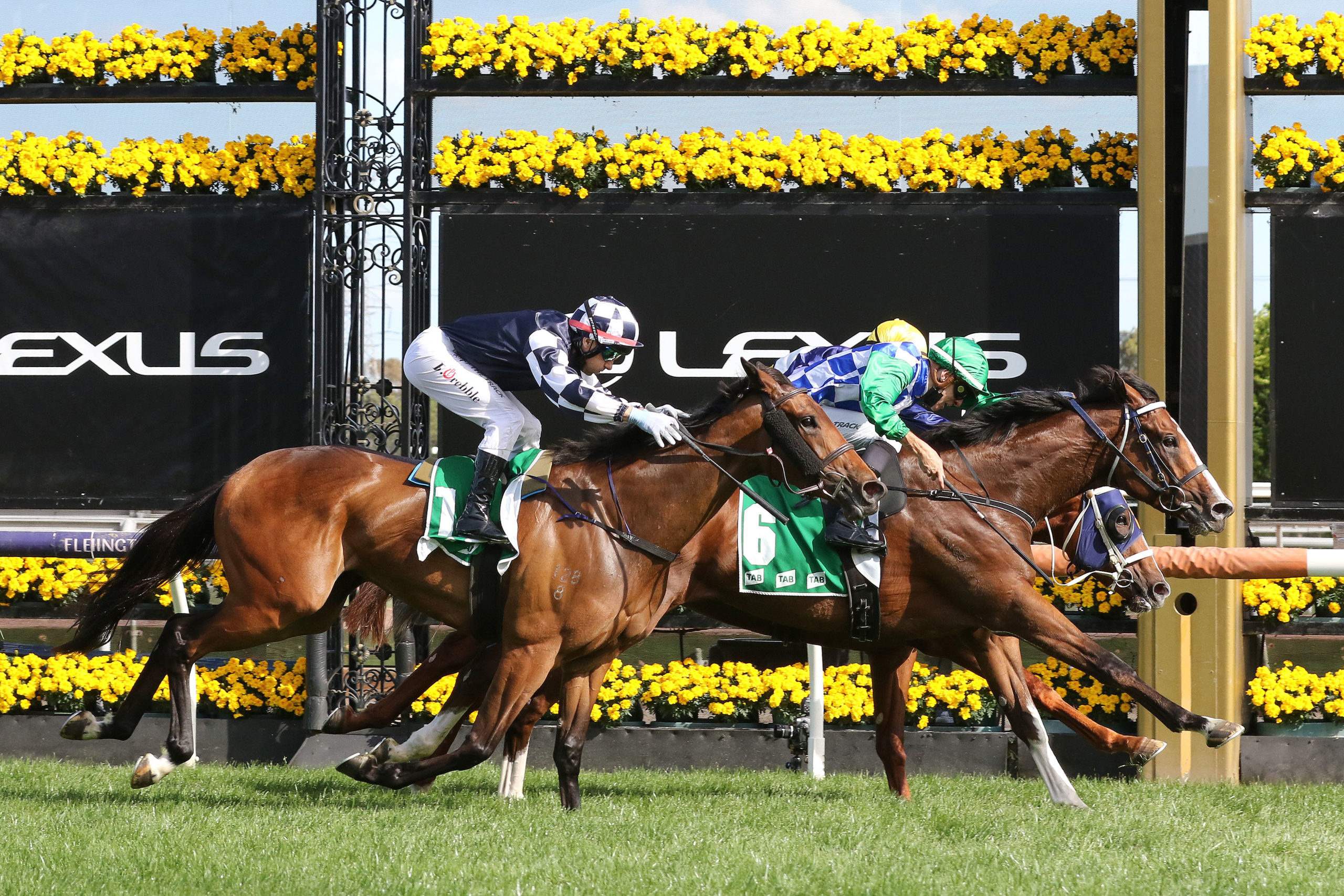 Fixed price betting melbourne cup winner cisco isr g2 crypto performance