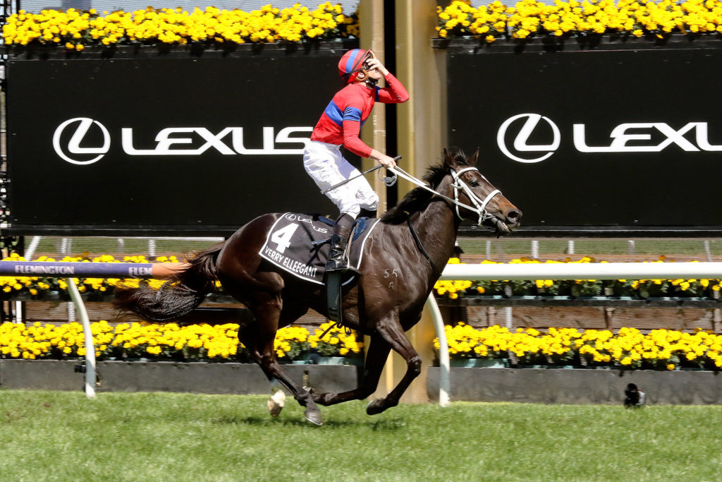 Verry Elleegant 2021 Melb Cup (2) | Just Horse Racing