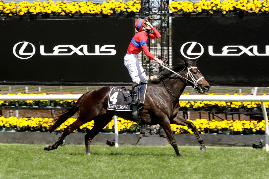 Melbourne cup 2022 betting options ethereum mining virtual memory