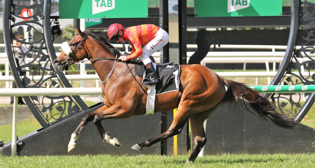 Apache Chase (1) | Just Horse Racing