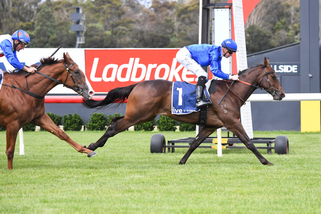 /r1/ | Just Horse Racing