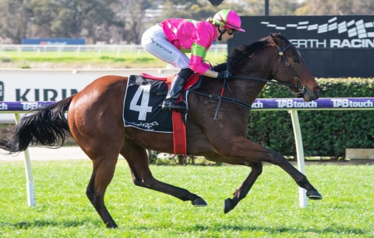 Bitofmerit | Just Horse Racing