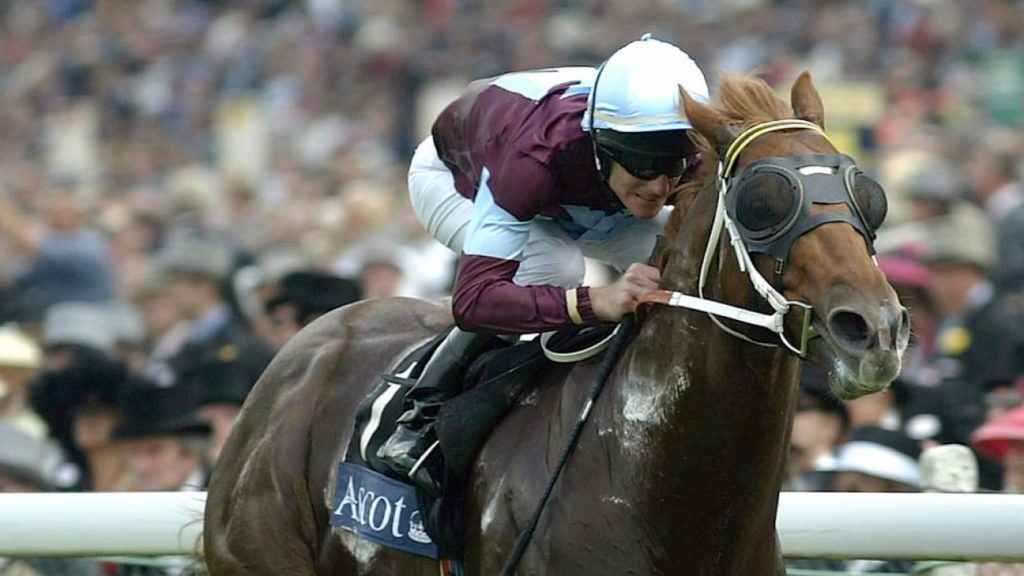 Choisir | Just Horse Racing