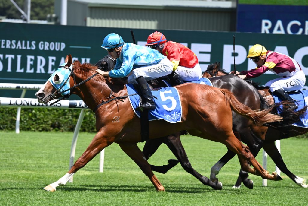El Padrino 1112212383 | Just Horse Racing
